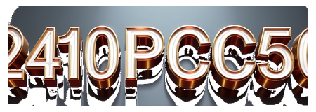 2410fpcc5g logo